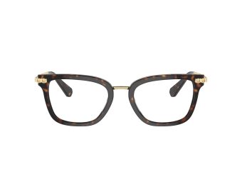 Swarovski SK 2018 1002 52 Women glasses