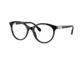Swarovski SK 2019 1001 52 Women glasses