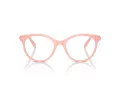 Swarovski SK 2019 1041 50 Women glasses