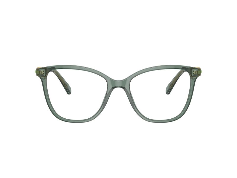 Swarovski SK 2020 1043 52 Women glasses