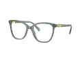 Swarovski SK 2020 1043 52 Women glasses