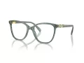 Swarovski SK 2020 1043 52 Women glasses