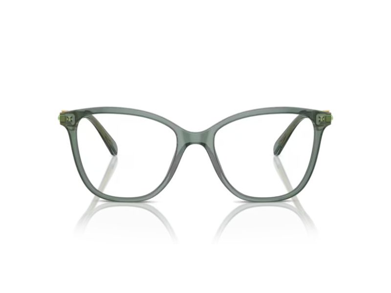 Swarovski SK 2020 1043 54 Women glasses