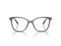 Swarovski SK 2020 1043 54 Women glasses