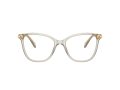 Swarovski SK 2020 3003 52 Women glasses