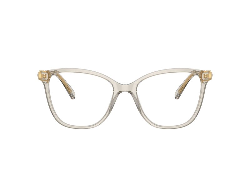 Swarovski SK 2020 3003 54 Women glasses