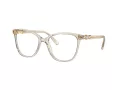 Swarovski SK 2020 3003 54 Women glasses