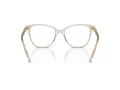 Swarovski SK 2020 3003 54 Women glasses