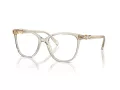 Swarovski SK 2020 3003 54 Women glasses