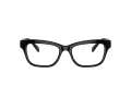 Swarovski SK 2022 1001 53 Women glasses