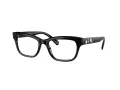 Swarovski SK 2022 1001 53 Women glasses