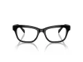 Swarovski SK 2022 1001 53 Women glasses