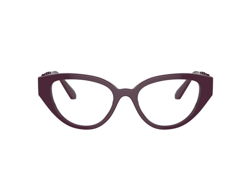 Swarovski SK 2024 1044 50 Women glasses
