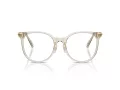 Swarovski SK 2027D 3003 53 Women glasses