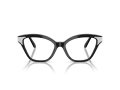 Swarovski SK 2029 1001 52 Women glasses