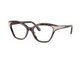 Swarovski SK 2029 1002 52 Women glasses