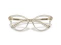 Swarovski SK 2030 3003 55 Women glasses