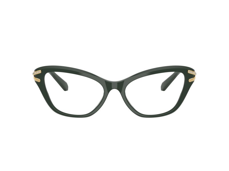 Swarovski SK 2031 1026 55 Women glasses