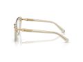Swarovski SK 2031 3003 53 Women glasses