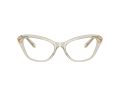 Swarovski SK 2031 3003 55 Women glasses