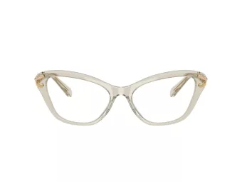 Swarovski SK 2031 3003 55 Women glasses