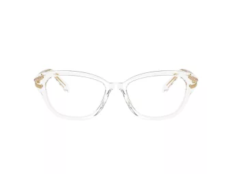 Swarovski SK 2032 1027 52 Women glasses