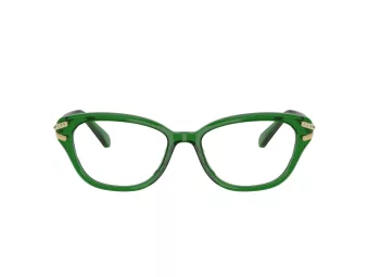 Swarovski SK 2032 1064 54 Women glasses