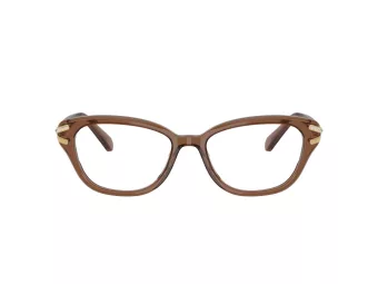 Swarovski SK 2032 1067 52 Women glasses