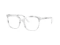 Swarovski SK 2033 1042 54 Women glasses