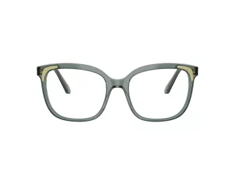 Swarovski SK 2033 1043 54 Women glasses