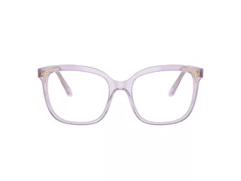 Swarovski SK 2033 1079 52 Women glasses