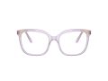 Swarovski SK 2033 1079 54 Women glasses