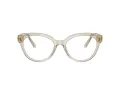 Swarovski SK 2037 3003 54 Women glasses