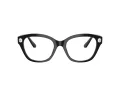 Swarovski SK 2038 1001 51 Women glasses