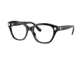 Swarovski SK 2038 1001 51 Women glasses
