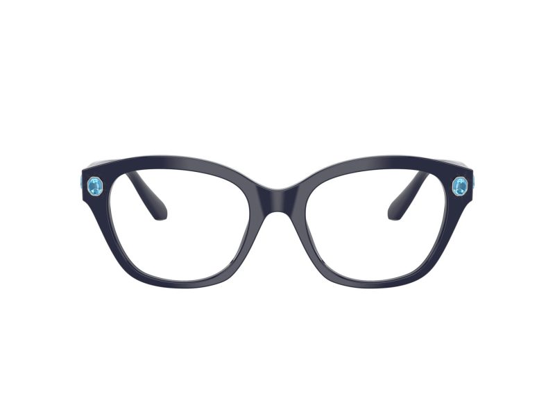 Swarovski SK 2038 1004 53 Women glasses