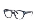 Swarovski SK 2038 1004 53 Women glasses