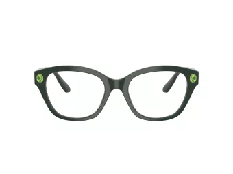 Swarovski SK 2038 1026 53 Women glasses