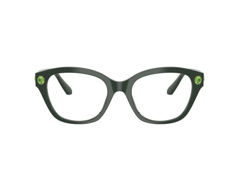 Swarovski SK 2038 1026 53 Women glasses