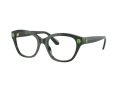 Swarovski SK 2038 1026 53 Women glasses