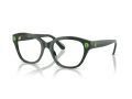 Swarovski SK 2038 1026 53 Women glasses