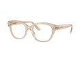 Swarovski SK 2038 1034 53 Women glasses