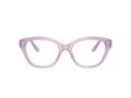 Swarovski SK 2038 1075 53 Women glasses