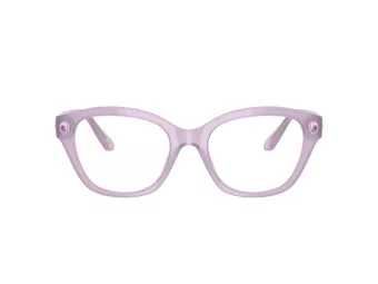 Swarovski SK 2038 1075 53 Women glasses