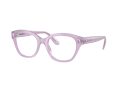 Swarovski SK 2038 1075 53 Women glasses