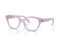 Swarovski SK 2038 1075 53 Women glasses