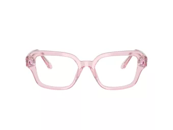 Swarovski SK 2039 3001 52 Women glasses