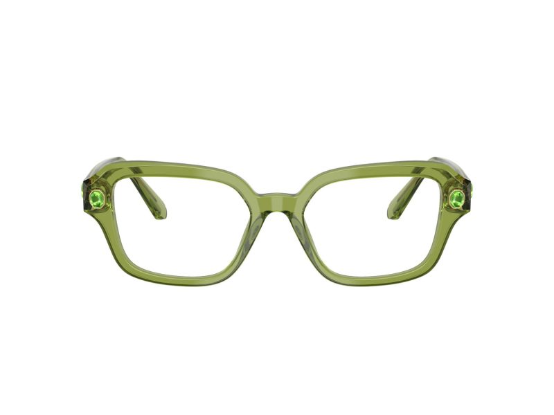 Swarovski SK 2039 3002 50 Women glasses