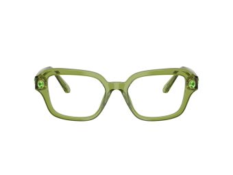 Swarovski SK 2039 3002 52 Women glasses