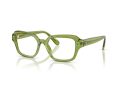 Swarovski SK 2039 3002 52 Women glasses